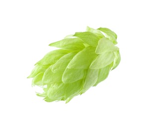 Photo of One fresh green hop isolated on white