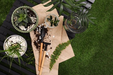 Houseplants and gardening tools on grass, flat lay