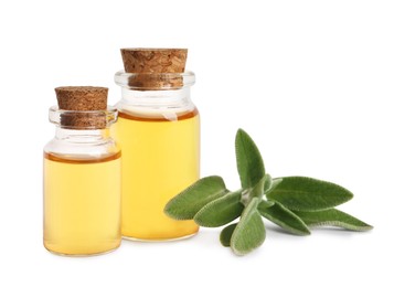 Photo of Bottles of essential sage oil and twig on white background.