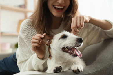 Photo of Young woman with her cute Jack Russell Terrier on sofa at home, closeup. Lovely pet