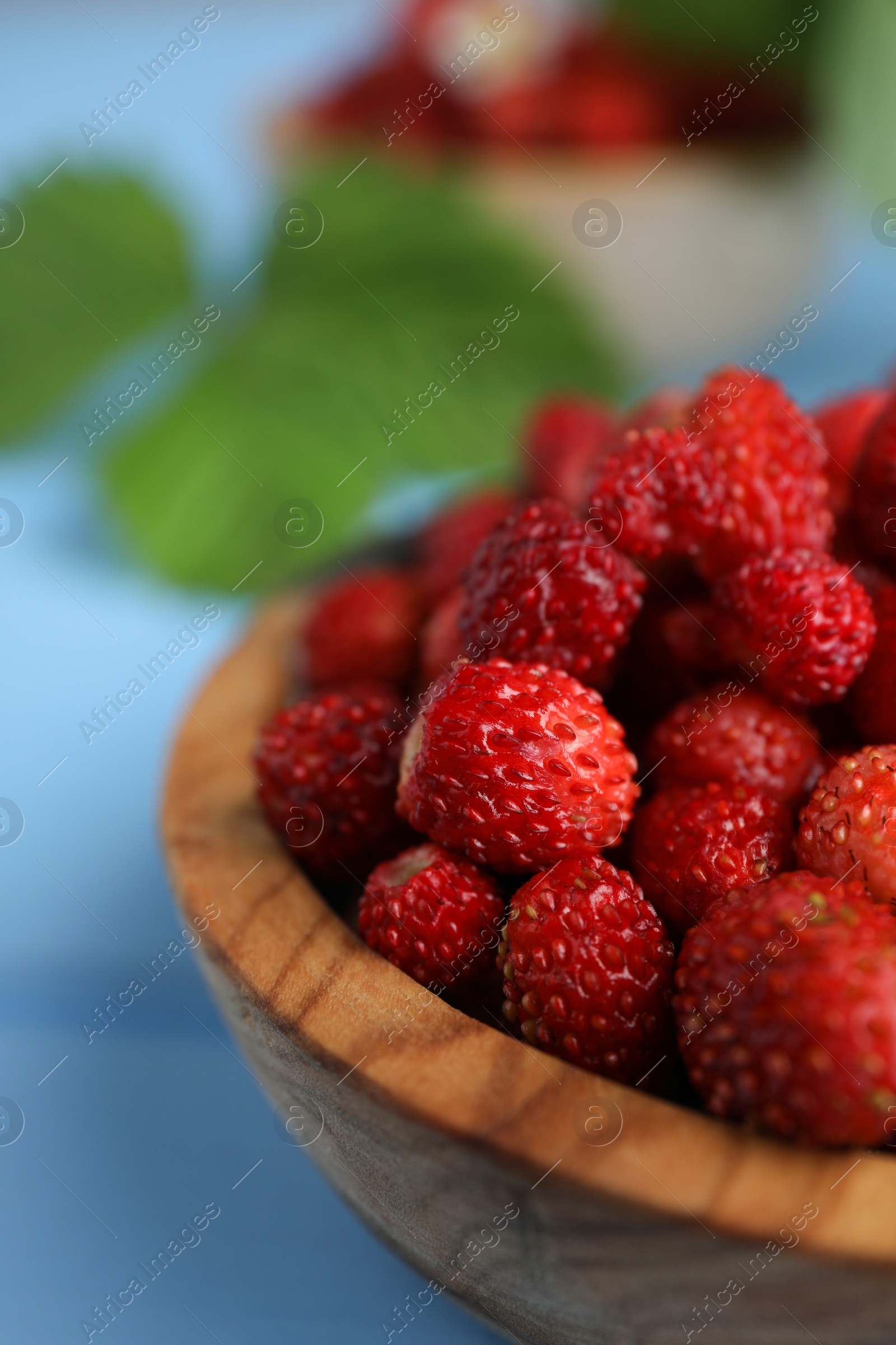 Photo of Fresh wild strawberries in bowl on light blue table, closeup