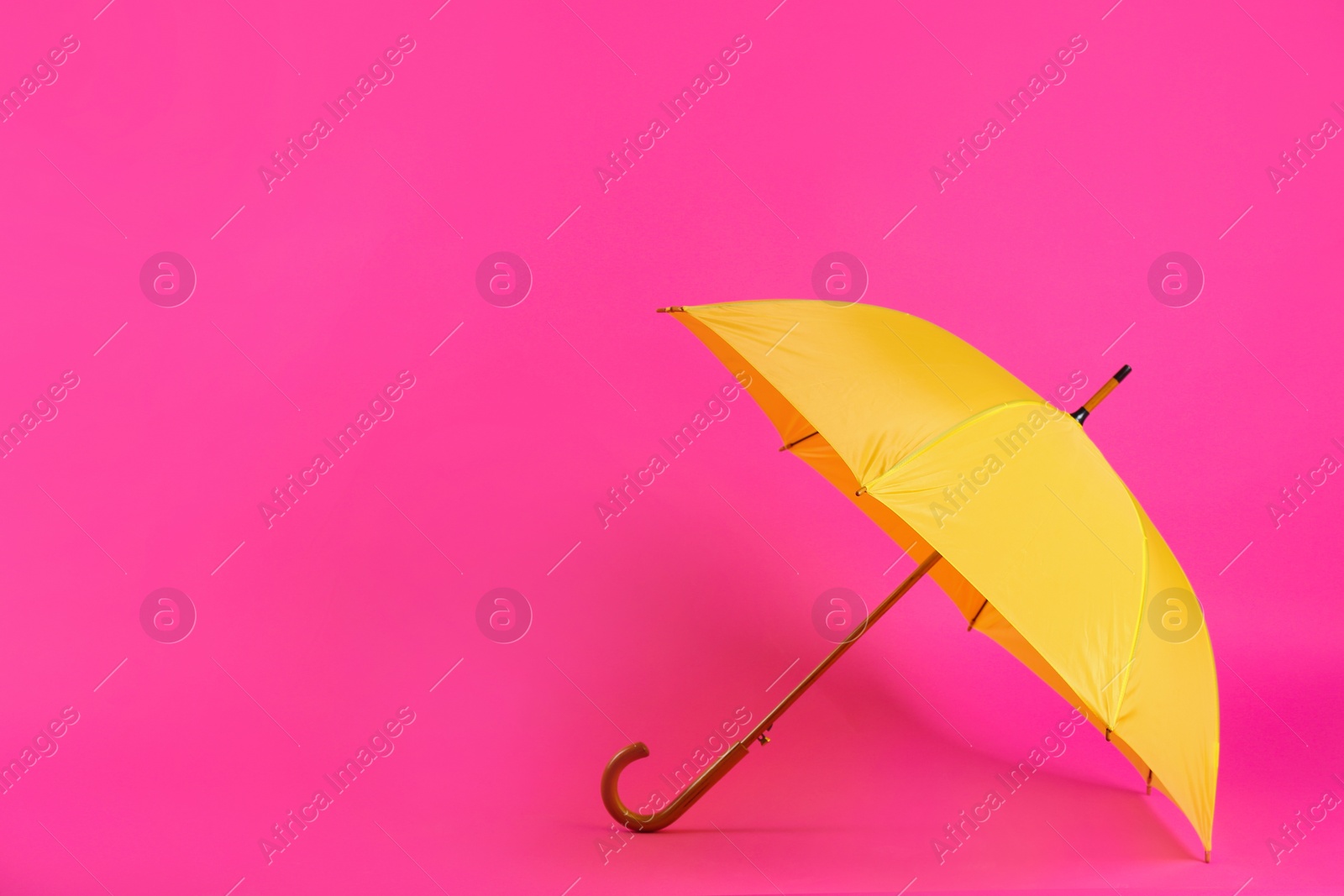 Photo of Beautiful yellow umbrella on pink background. Space for text