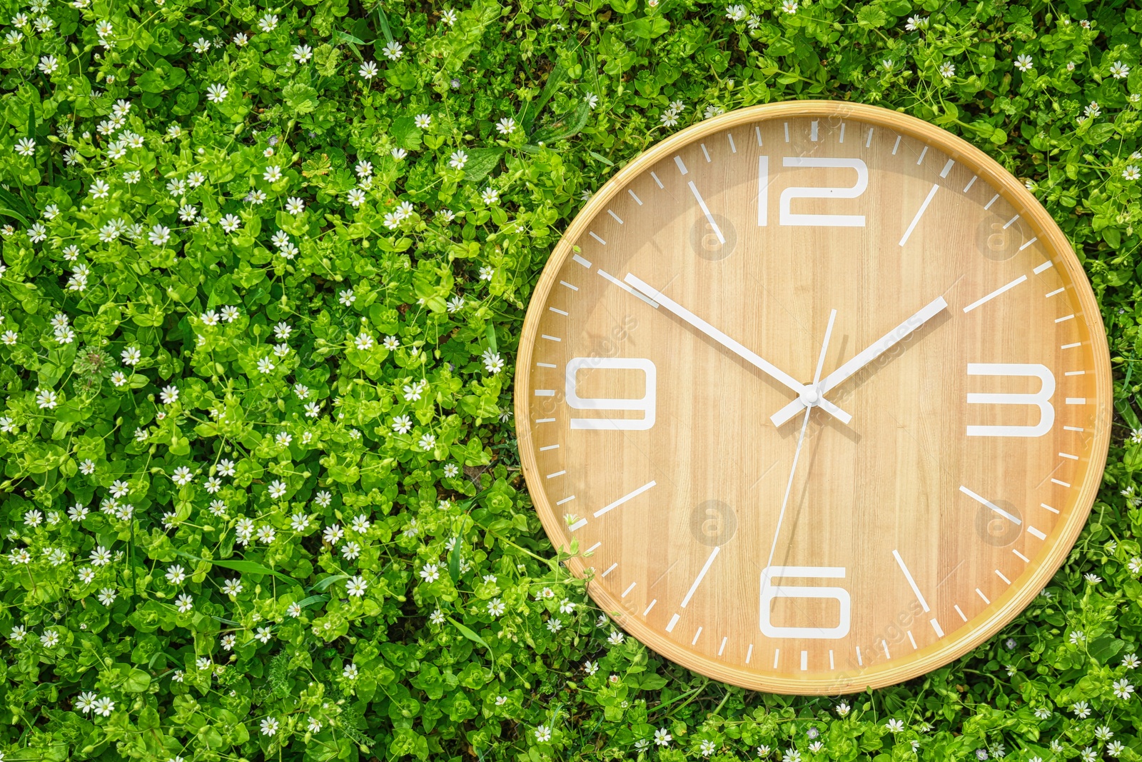 Photo of Big clock among flowers, outdoors. Time change concept