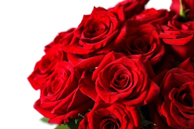 Photo of Beautiful red rose flowers on light background