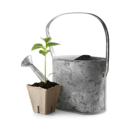 Photo of Green pepper seedling and watering can isolated on white
