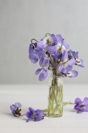 Photo of Beautiful wild violets on white wooden table. Spring flowers