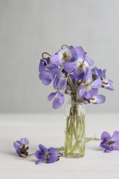 Beautiful wild violets on white wooden table. Spring flowers