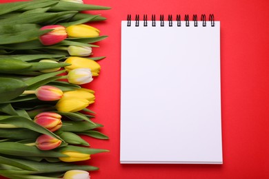 Beautiful tulips and blank notebook on red background, flat lay