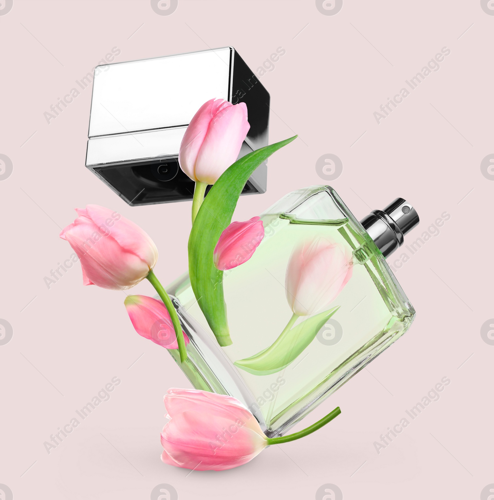 Image of Bottle of perfume and tulips in air on beige pink background