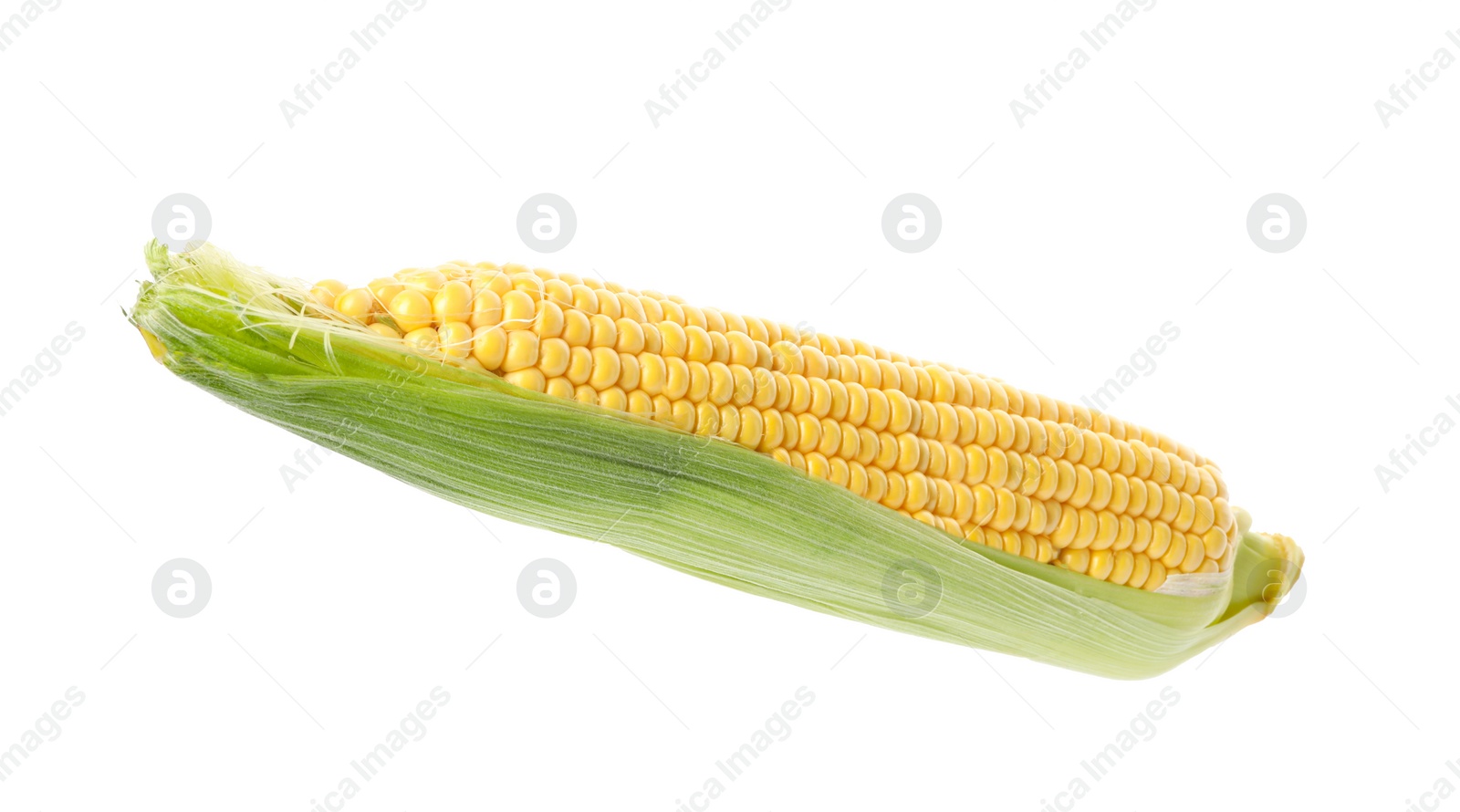 Photo of Ripe corn cob with husk isolated on white