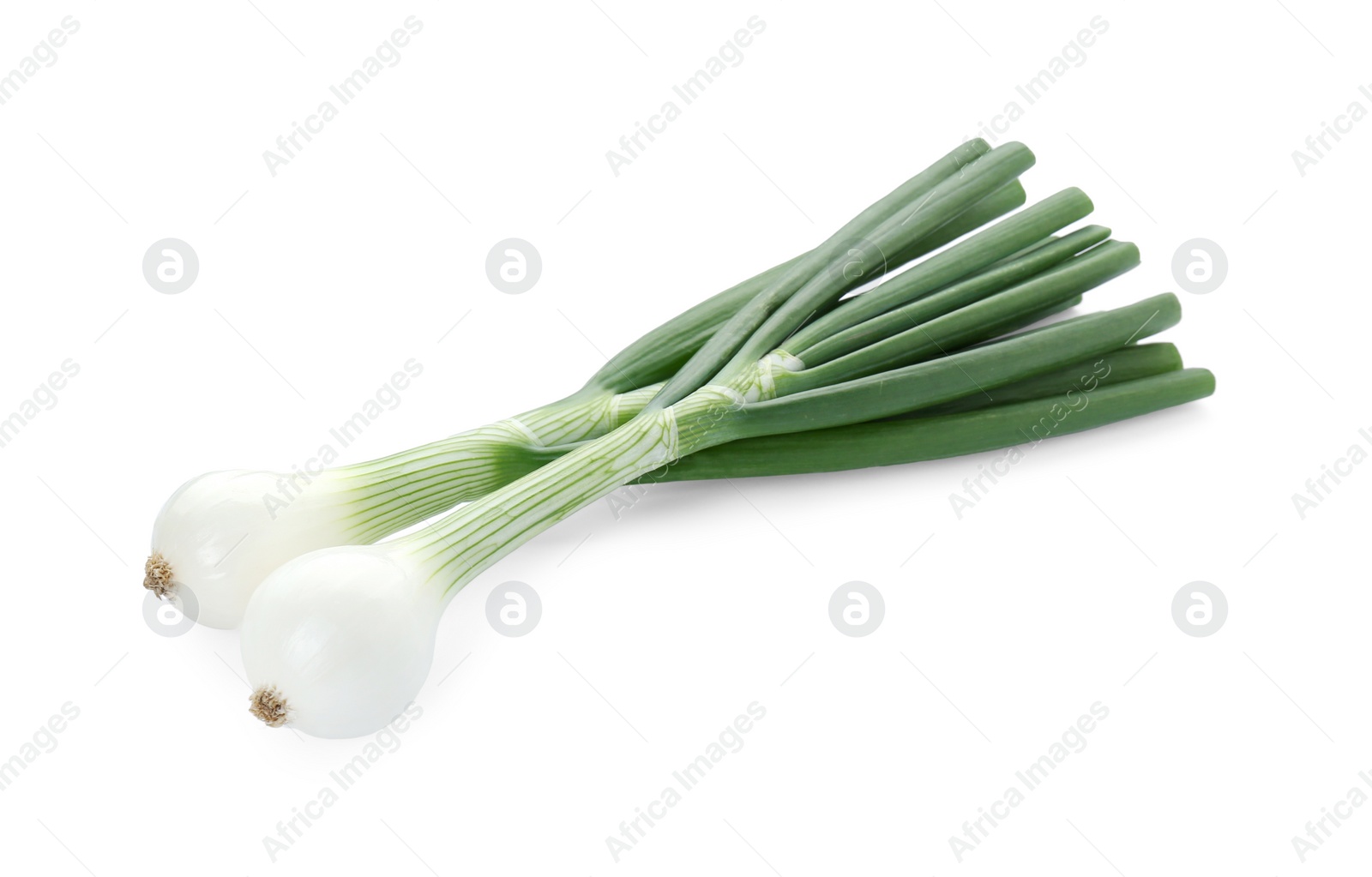 Photo of Whole green spring onions isolated on white