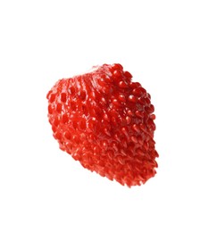 Photo of One ripe wild strawberry isolated on white