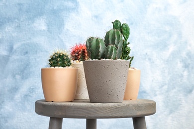 Photo of Beautiful cacti on table against color background