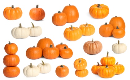 Image of Set of different fresh pumpkins on white background