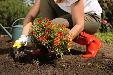 Woman planting flowers outdoors on sunny day, closeup. Gardening time