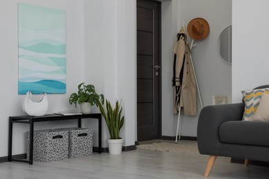 Beautiful living room interior with stylish grey sofa and houseplants