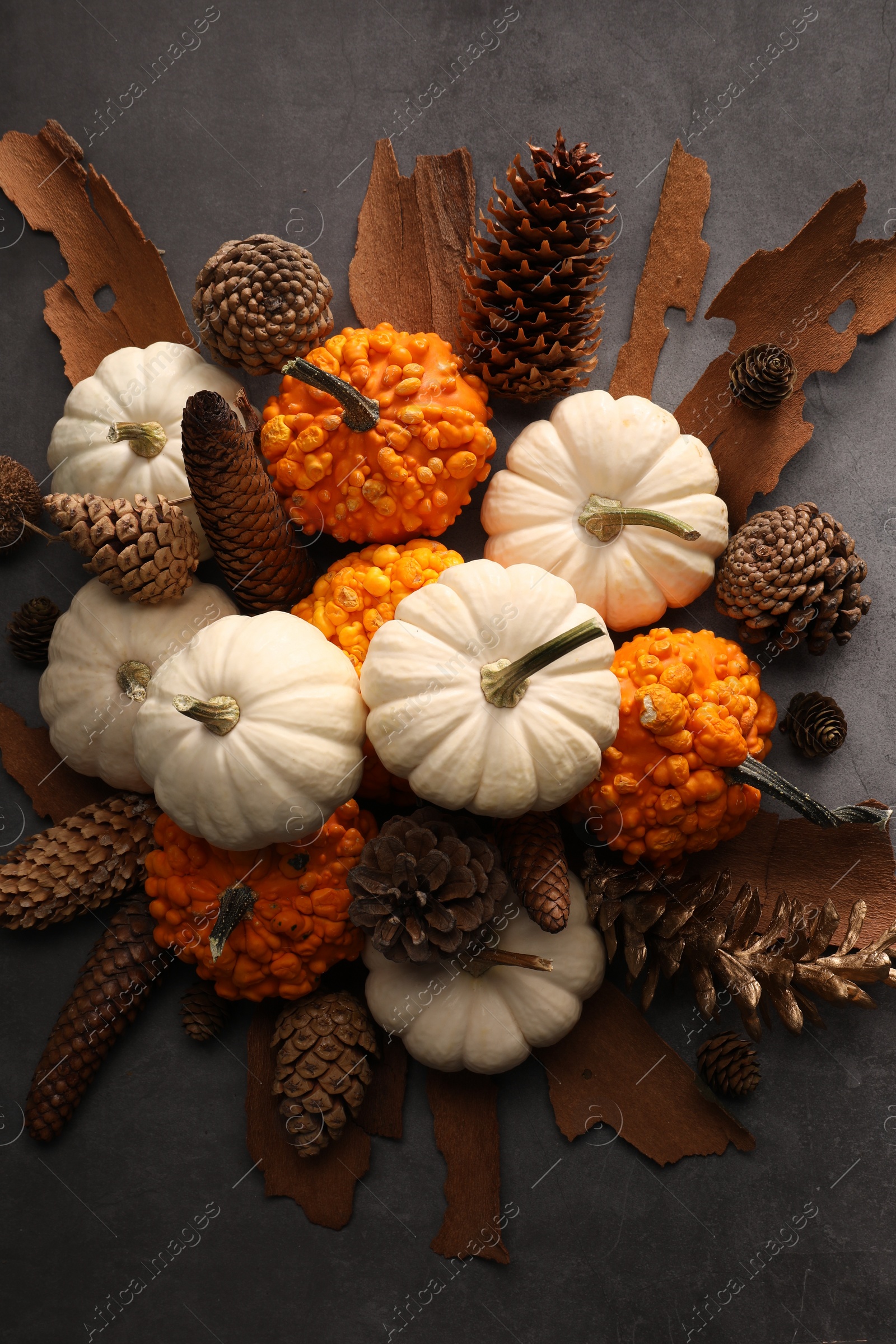 Photo of Flat lay composition with ripe pumpkins on grey table