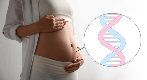 Noninvasive prenatal testing (NIPT), banner design. Pregnant woman on white background, closeup. Illustration of baby's DNA structure
