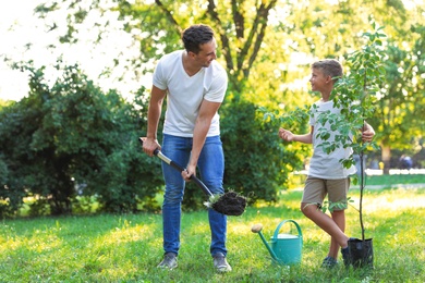 Dad and son planting tree in park on sunny day