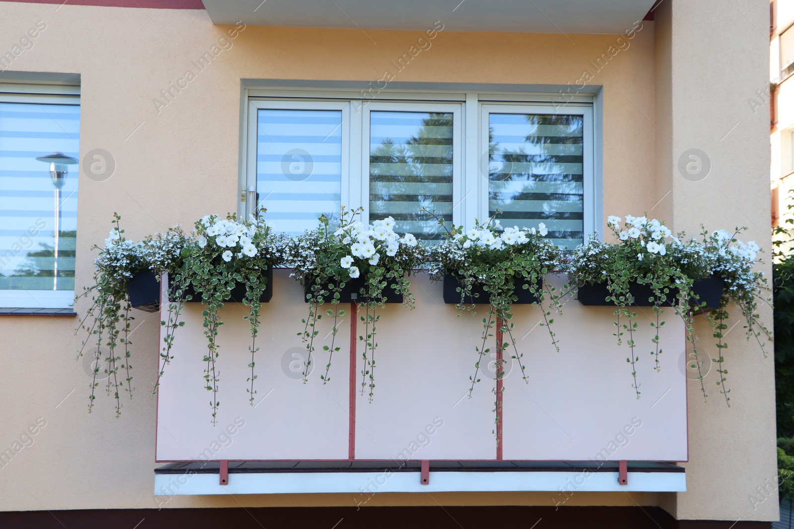 Photo of Balcony decorated with beautiful blooming potted plants