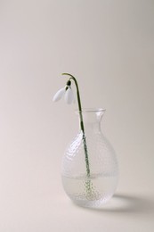 Photo of Beautiful snowdrop in vase on light background