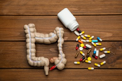Anatomical model of large intestine and pills on wooden background, flat lay