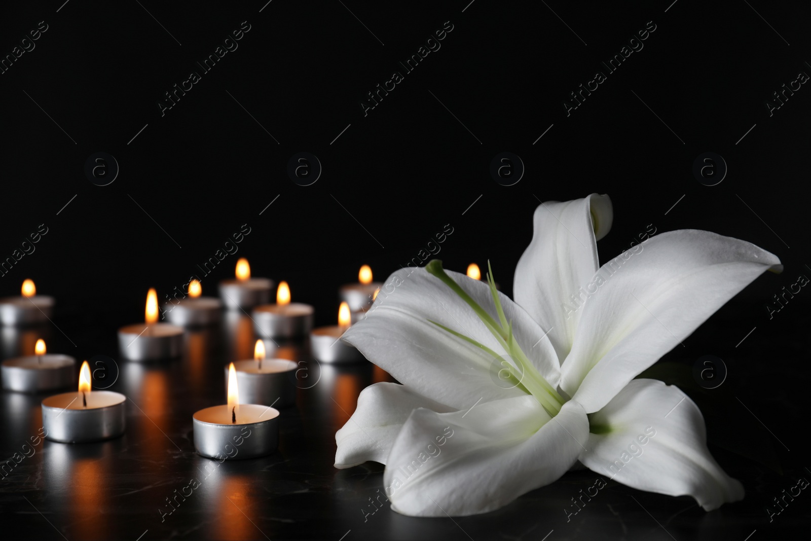 Photo of White lily and blurred burning candles on table in darkness, closeup with space for text. Funeral symbol