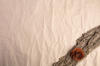 Photo of Tree bark piece and cone on beige crumpled paper, top view. Space for text