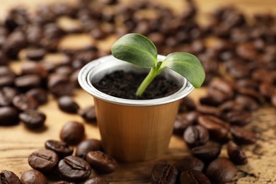 Coffee capsule with seedling and beans on wooden table, closeup