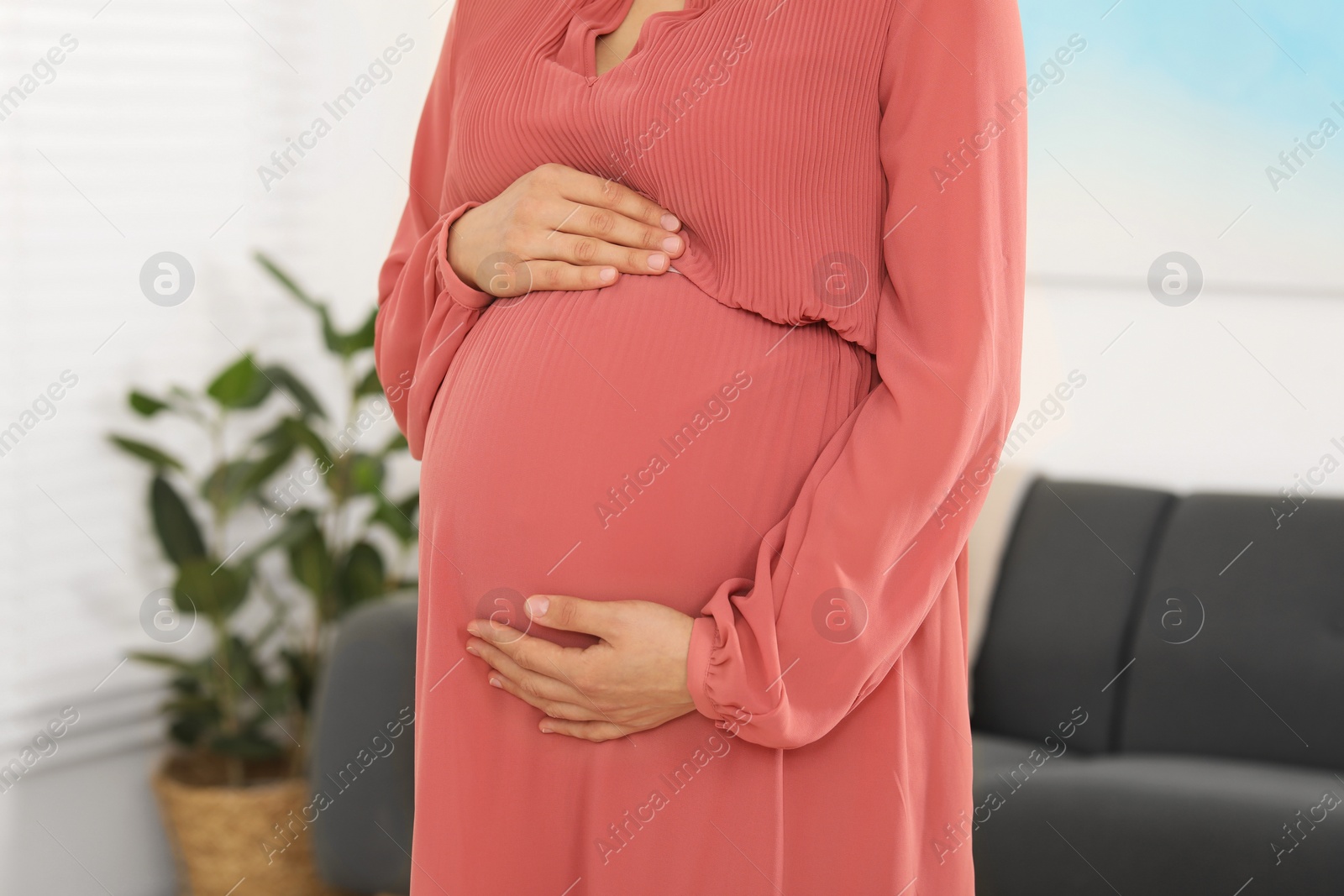 Photo of Pregnant woman in coral dress at home, closeup