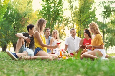 Happy friends having picnic in park on sunny day