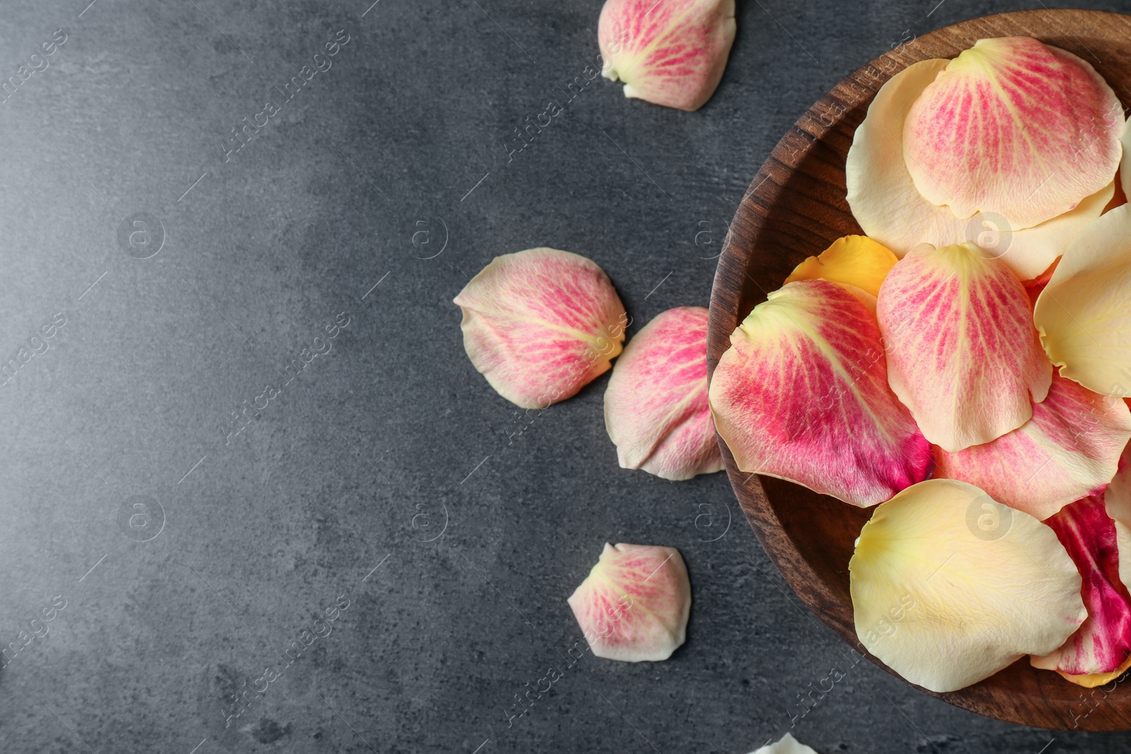 Photo of Plate with rose petals on grey background, top view. Space for text