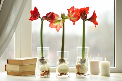 Photo of Beautiful red amaryllis flowers, books and candles on window sill indoors