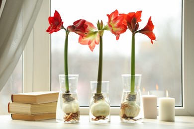 Beautiful red amaryllis flowers, books and candles on window sill indoors