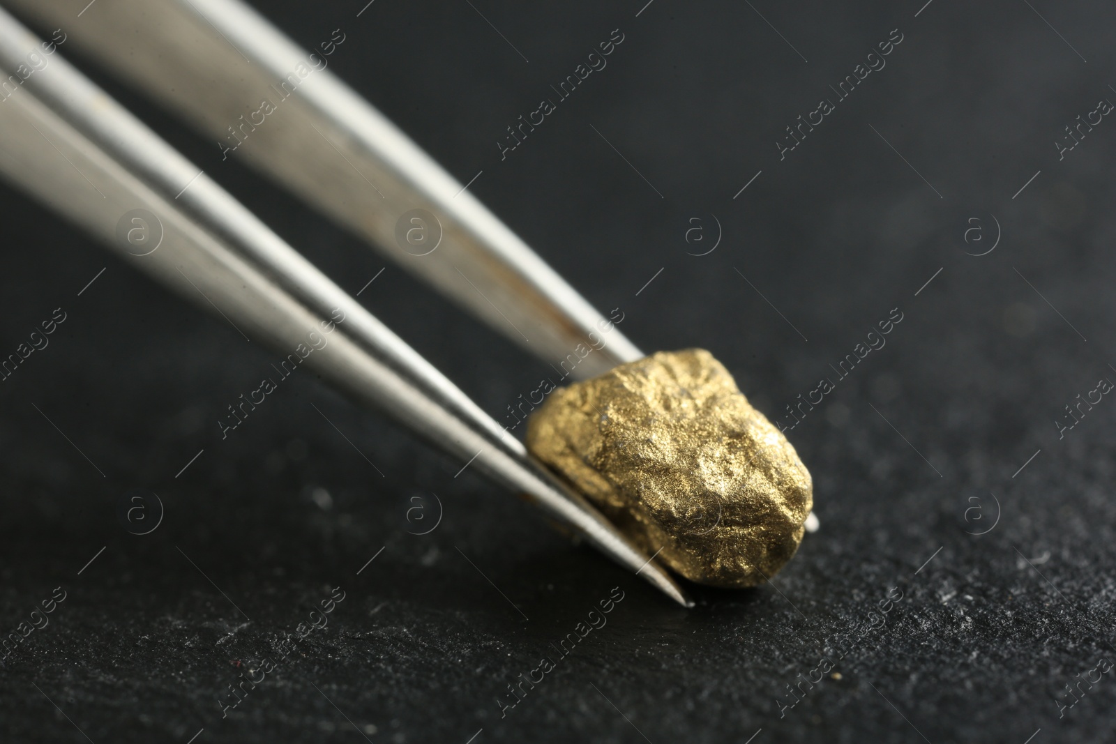 Photo of Tweezer with shiny gold nugget at grey textured surface, closeup