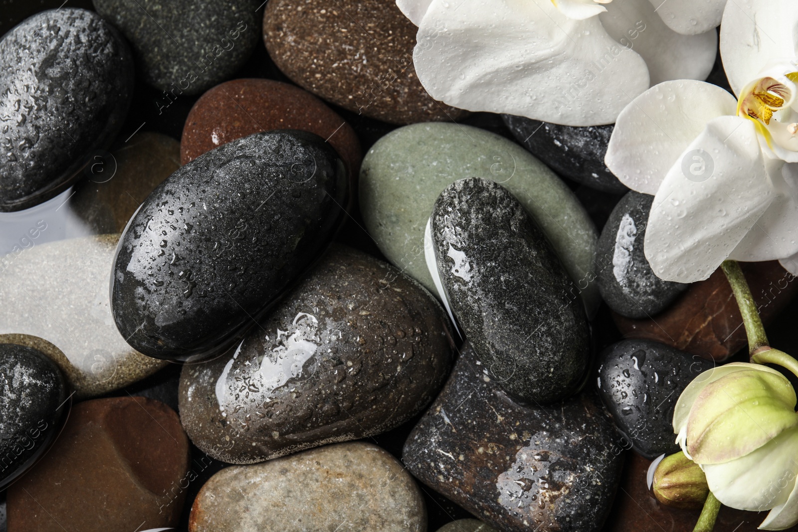 Photo of Stones and orchid flowers in water as background, top view. Zen lifestyle