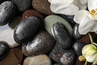 Stones and orchid flowers in water as background, top view. Zen lifestyle