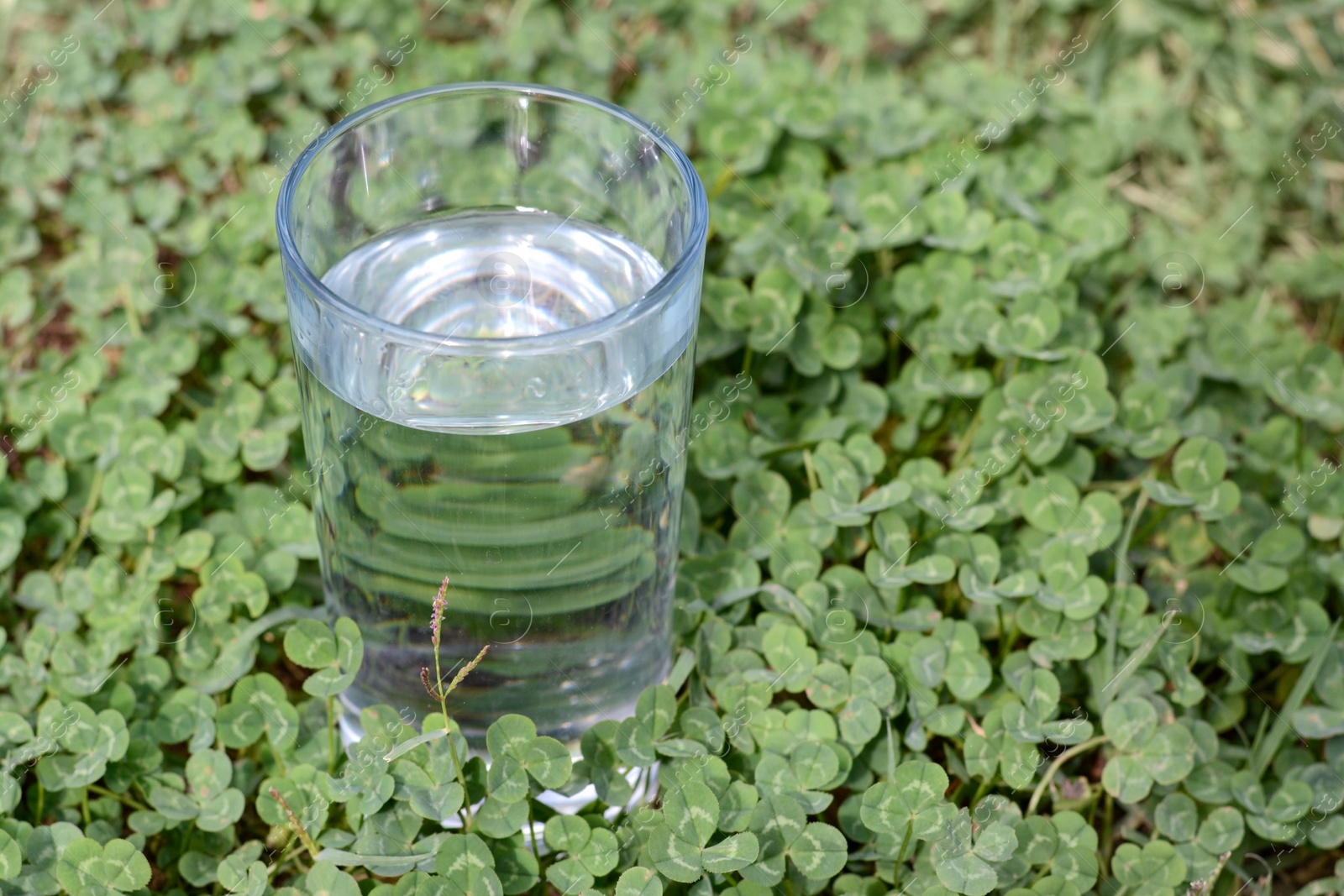 Photo of Glass with pure water in green grass outdoors, space for text