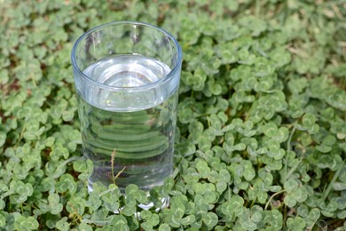 Glass with pure water in green grass outdoors, space for text