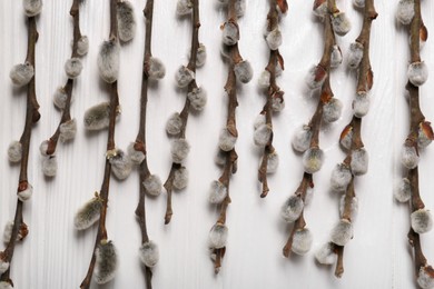 Photo of Beautiful willow branches with fuzzy catkins on white wooden table, flat lay