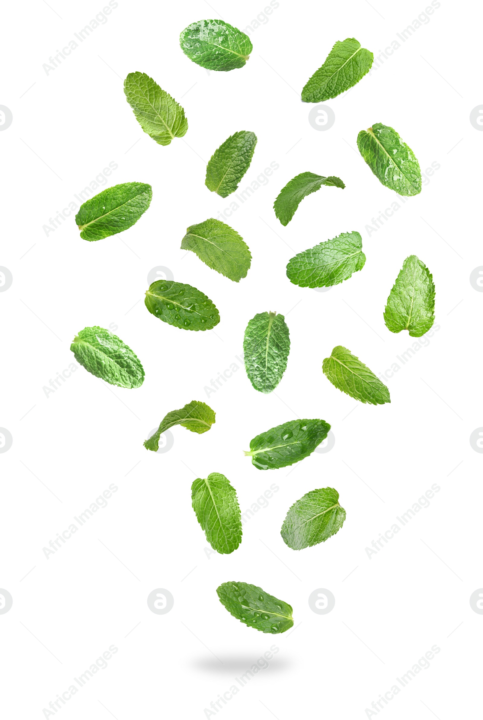 Image of Set of flying green mint leaves on white background