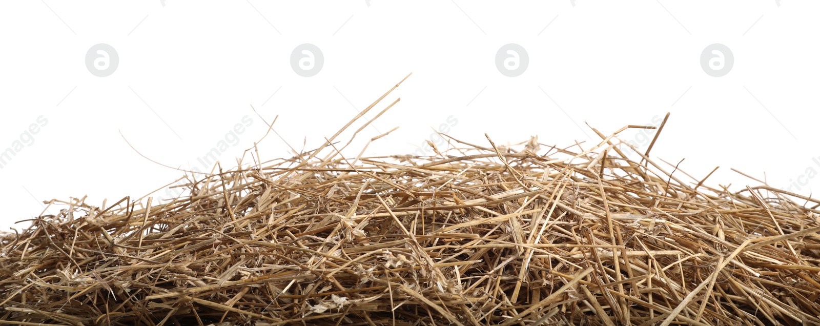 Photo of Dried straw isolated on white. Livestock feed