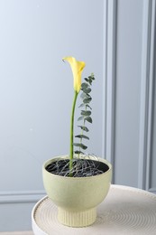 Photo of Stylish ikebana as house decor. Beautiful fresh calla flower and eucalyptus branch on table near white wall