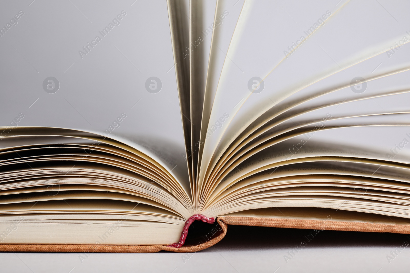 Photo of Closeup view of open book on light background