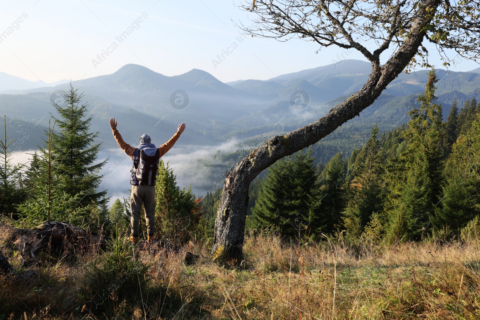 Photo of Tourist with backpack in mountains on sunny day, back view. Space for text