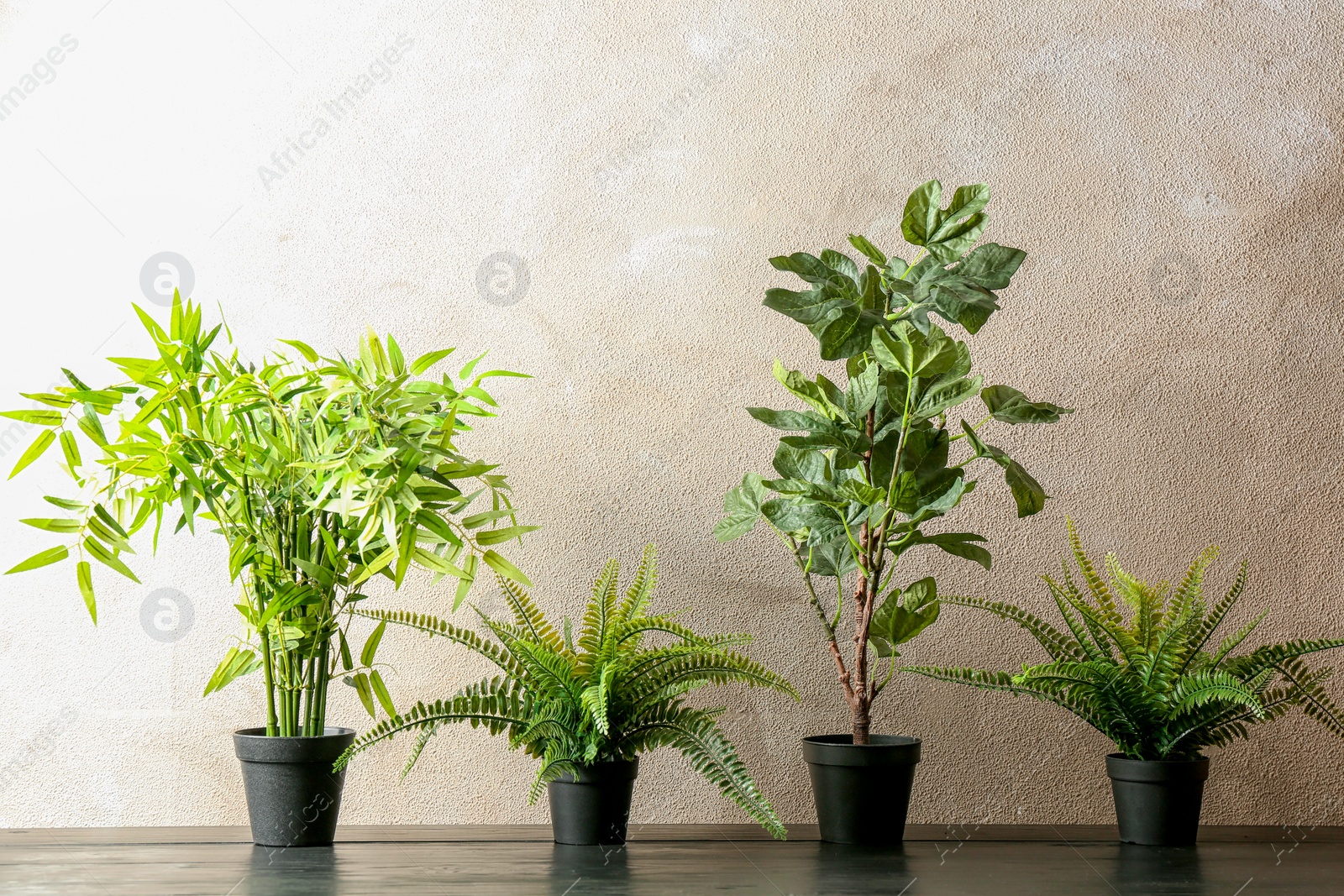 Photo of Potted plants on table near color wall. Interior decor