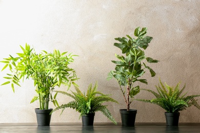 Photo of Potted plants on table near color wall. Interior decor