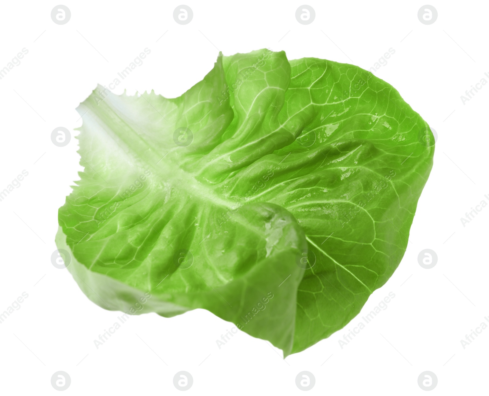 Photo of Fresh green butter lettuce leaf isolated on white