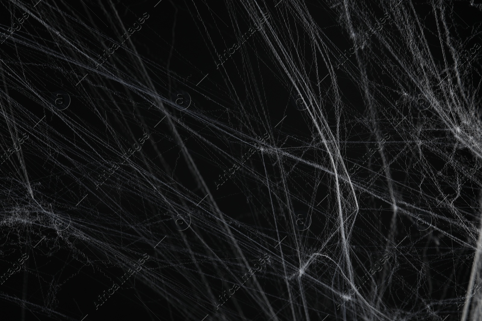 Photo of Creepy white cobweb on black background, closeup