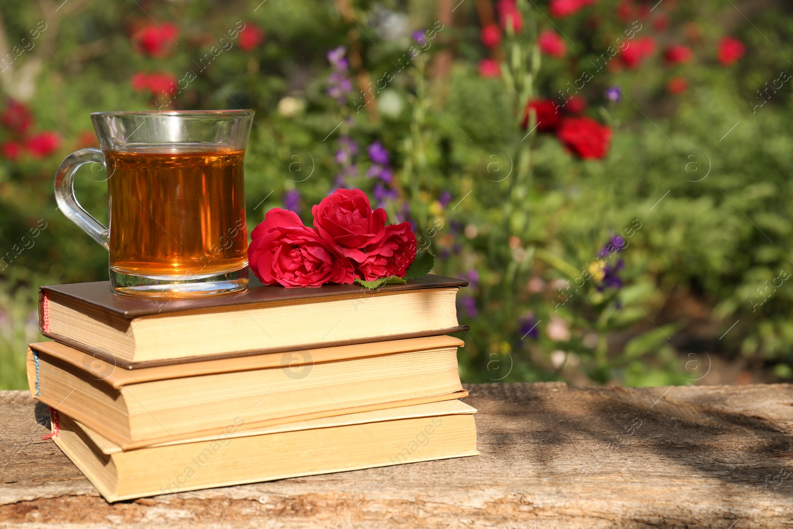 Photo of Book stack with glass cup of tea and roses on wooden table in garden. Space for text